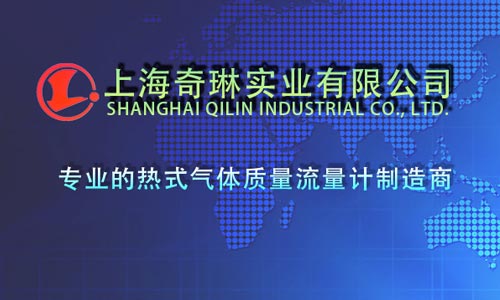 上海奇琳實業有限公司